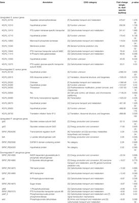 Unveiling Co-Infection in Cystic Fibrosis Airways: Transcriptomic Analysis of Pseudomonas aeruginosa and Staphylococcus aureus Dual-Species Biofilms